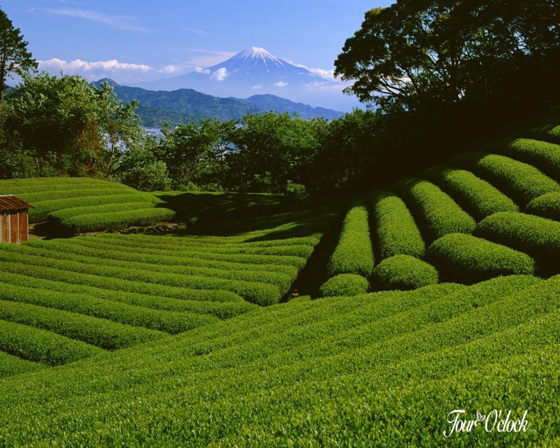 Hotel Emerald Inn Munnar Kültér fotó